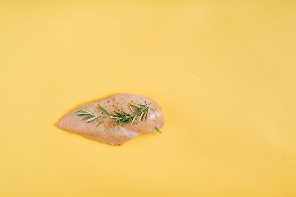 Frisches Katzenfutter mit Fleisch