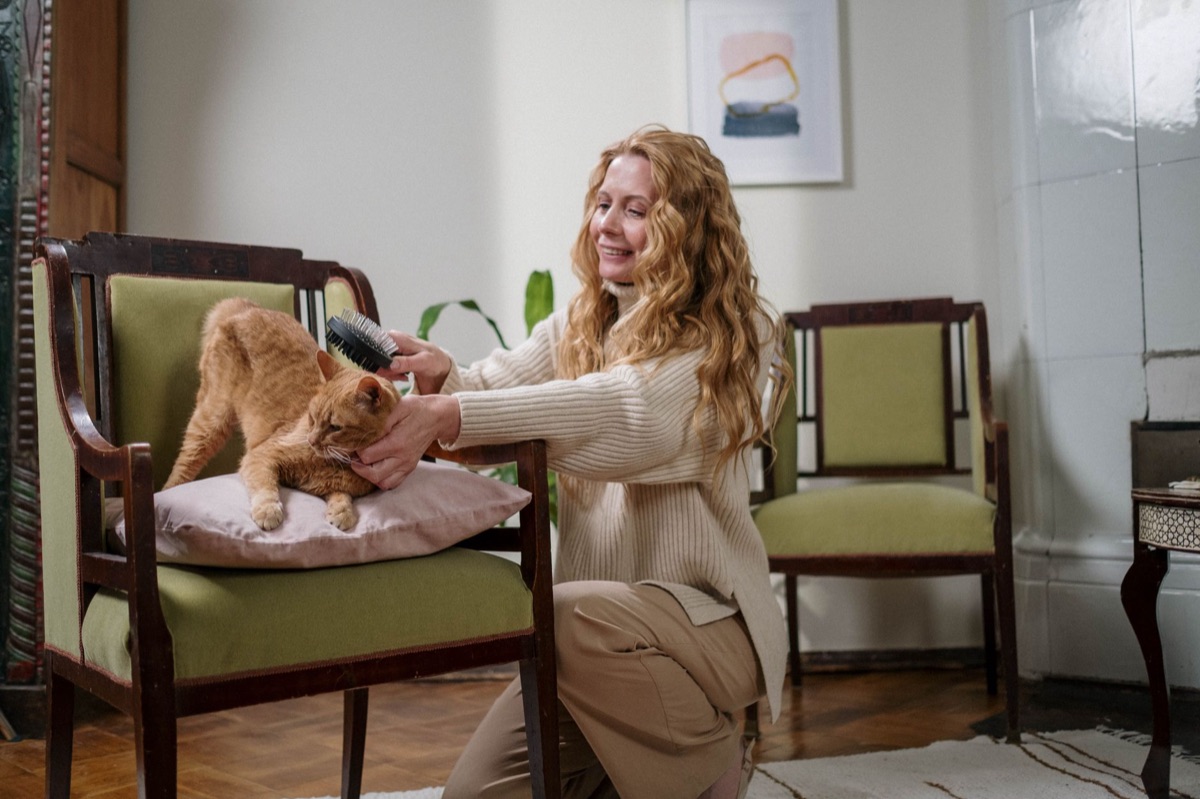 Een rubberen borstel voor het verwijderen van losse haren bij een kat.