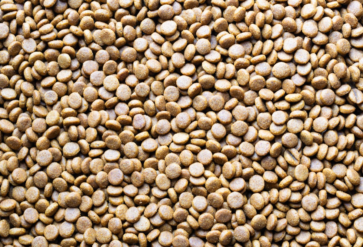 Specific cat food transition