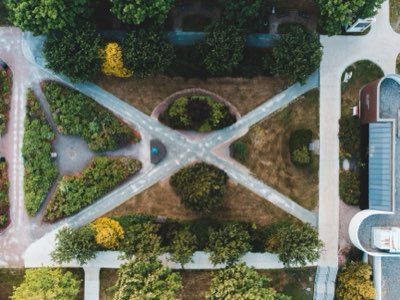 Verticale Ruimte is Cruciaal: Een Kattenparadijs Bouwen