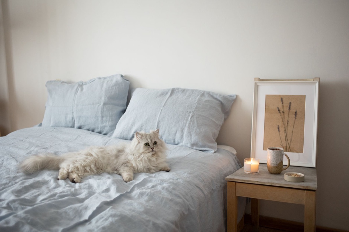 Letto di gatto con materiali naturali