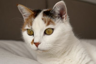 Stressvrije kat: Scheid functies voor een harmonieus huis