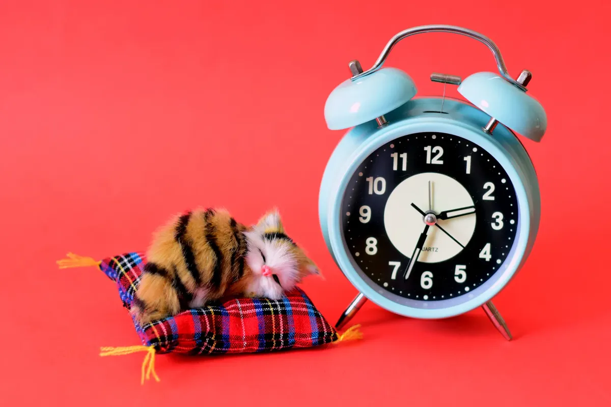 A cute toy cat laying on a pillow beside a blue alarm clock on a vibrant red background.